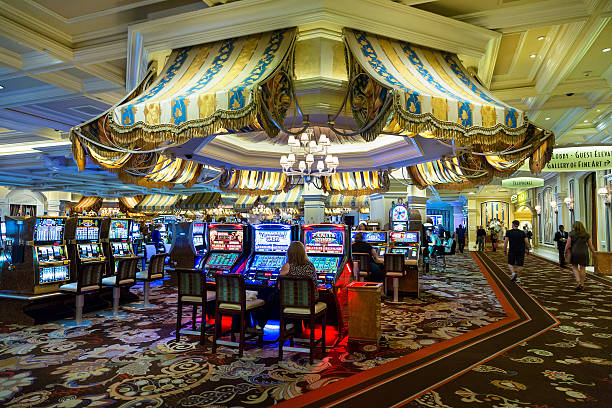dorjitu lobby snapshot
